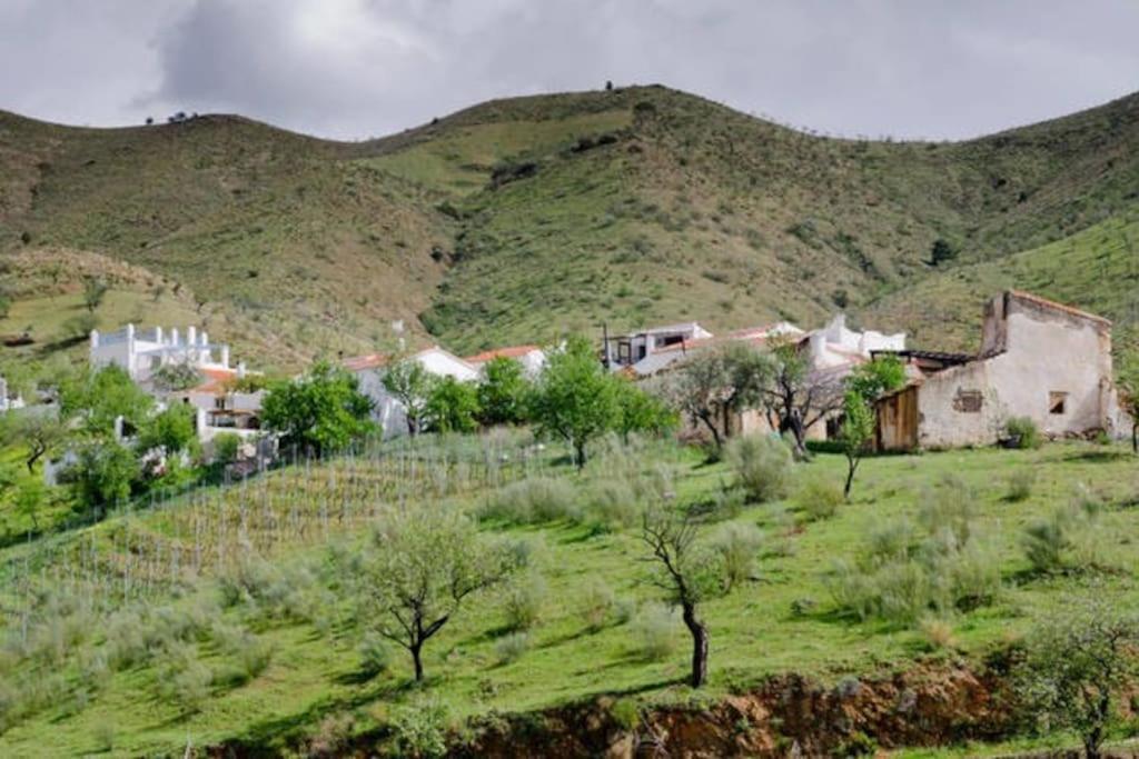 The Vine Studio Rubite  Εξωτερικό φωτογραφία
