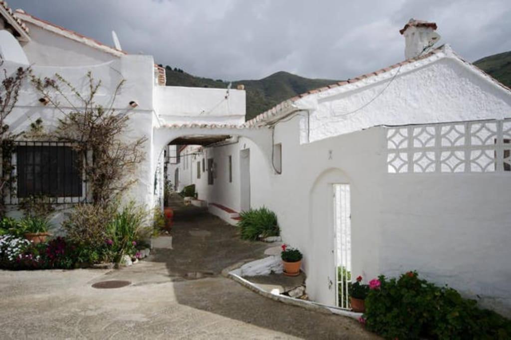 The Vine Studio Rubite  Εξωτερικό φωτογραφία
