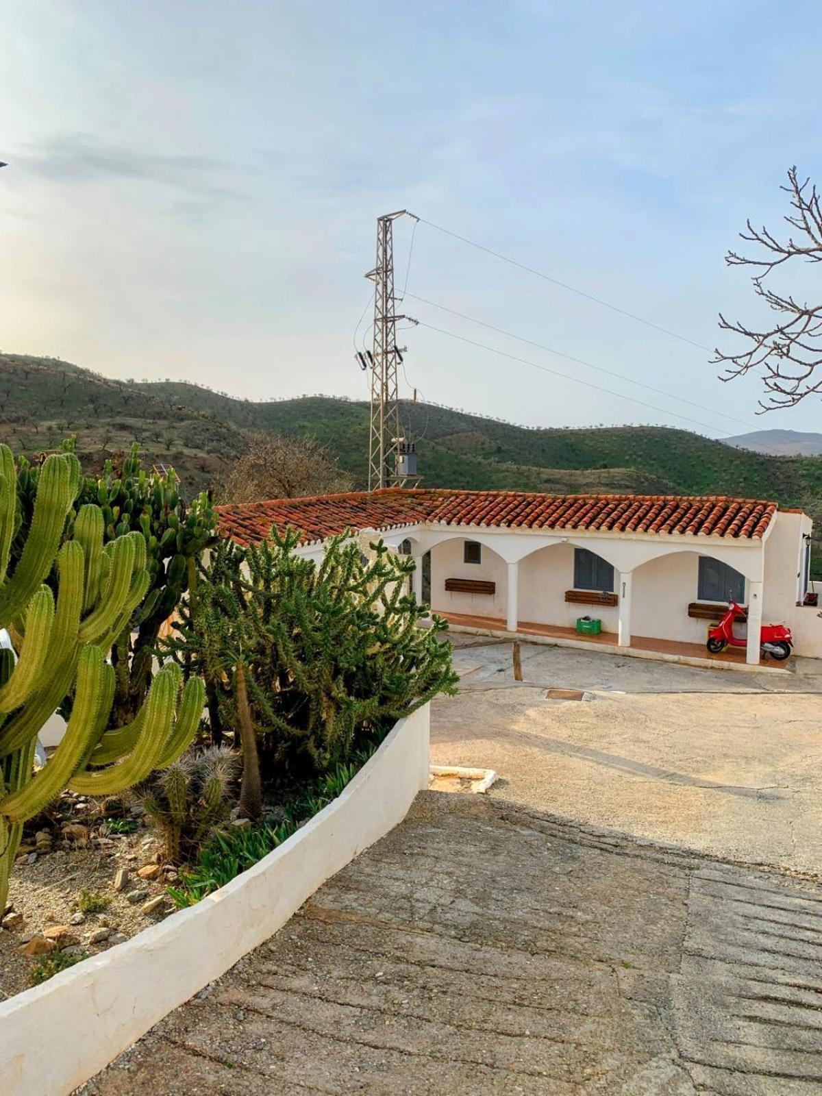 The Vine Studio Rubite  Εξωτερικό φωτογραφία